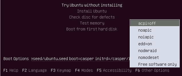 The F6 options would have the "x" next to them but were not showing up in the boot command.